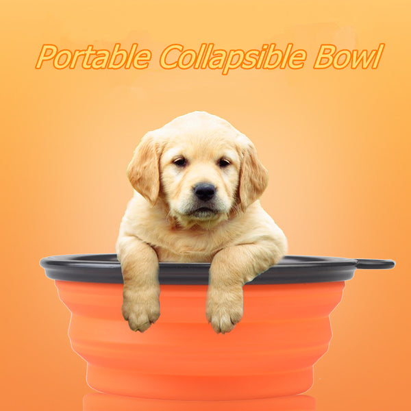 Portable Collapsible Bowl